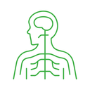 Nervensystem